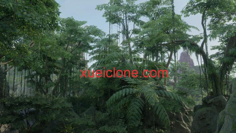 虚幻5ue5热带丛林包Tropical Jungle Pack3