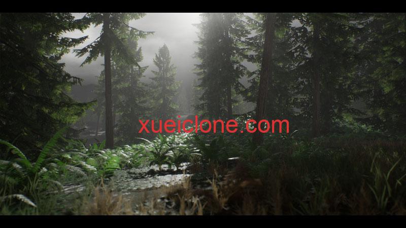 虚幻5ue5现实森林包Realistic Forest Pack4