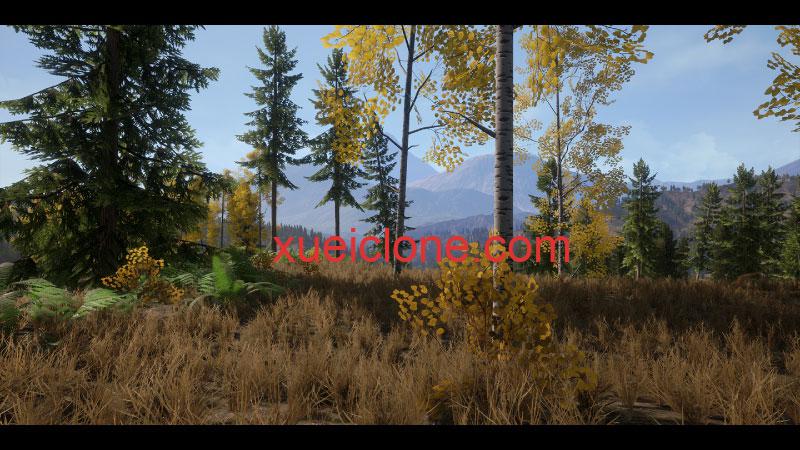 虚幻5ue5现实森林包Realistic Forest Pack3