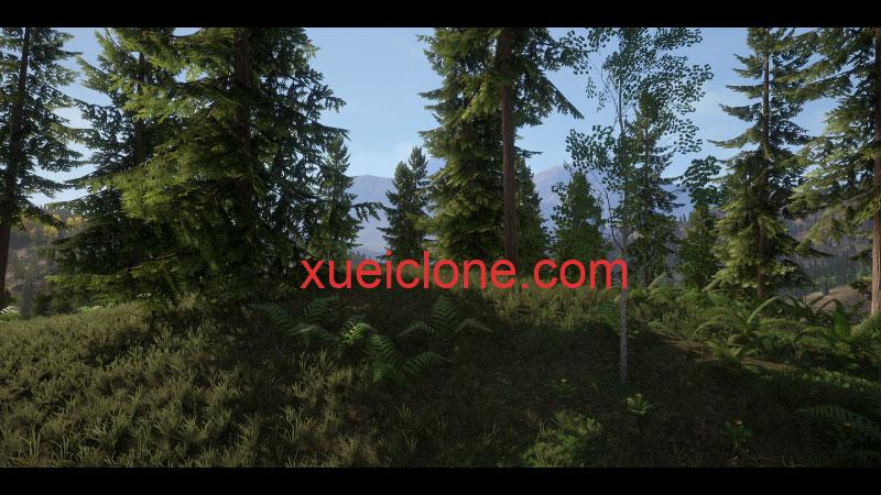 虚幻5ue5现实森林包Realistic Forest Pack2